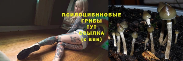 эйфоретик Красноперекопск