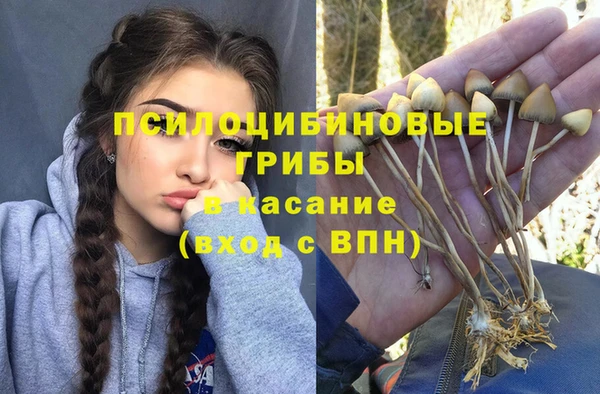 винт Краснотурьинск