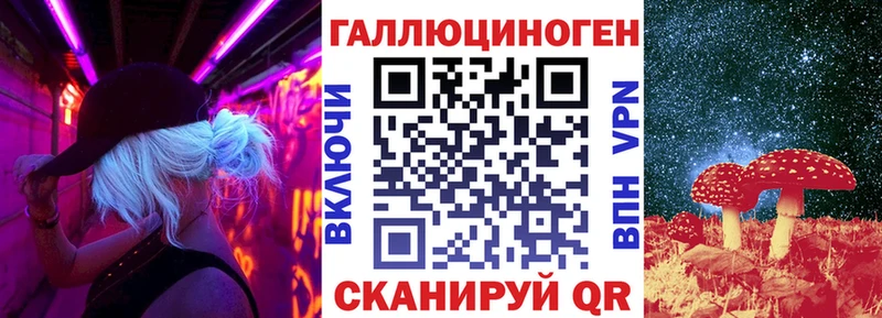 Купить где  Аркадак  Псилоцибиновые грибы Cubensis 