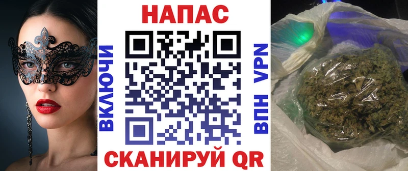 Купить где  Аркадак  Шишки марихуана сатива 